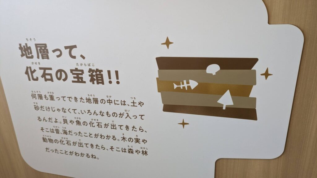 沖縄県に出来たキッツパーク「ちきゅうのにわ ライカム店」